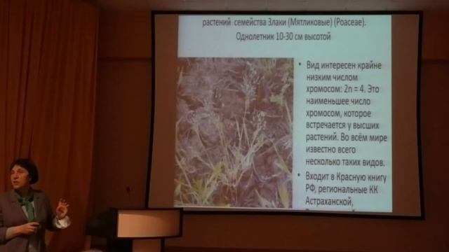 Лекция Т. Б. Силаевой «Удивительный мир растений»