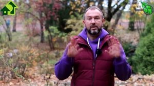 НЕ БРОСАЙТЕСЬ ИЗВЕСТКОВАТЬ ПОЧВУ! Раскисление без известкования. Чем безопасно раскислить грунт.