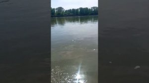 лодочный мотор Toyama 3.6 идеальный комплект для одного(хороший показатель скорости)