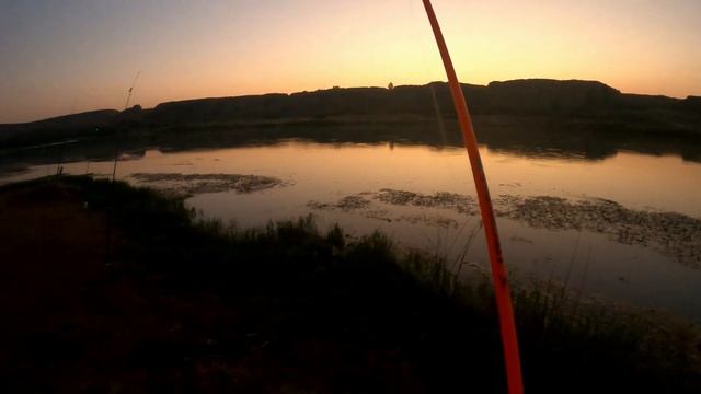 РЫБАЛКА В УЗБЕКИСТАНЕ. НОВОЕ МЕСТО. ОГРОМНЫЙ УСАЧ. #baliqovi  #усач #fishing #рыбалка на сырдарье
