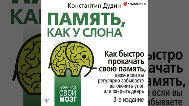 Память, как у слона. Как быстро прокачать свою память, даже если вы регулярно забываете выключить …