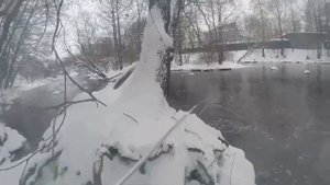 Тест шеста и паука на прочность. Легко ли сломать и порвать? Продажа пауков и др.
