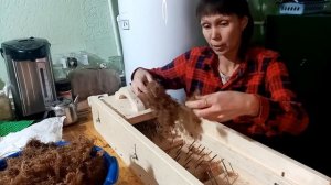 Чешем сосновую шерсть.