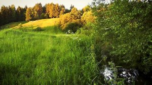 Кубань-красавица. Исполняет Виктория Гурьянова. Слова: Ф. Поллак, музыка: А. Лукьяненко.