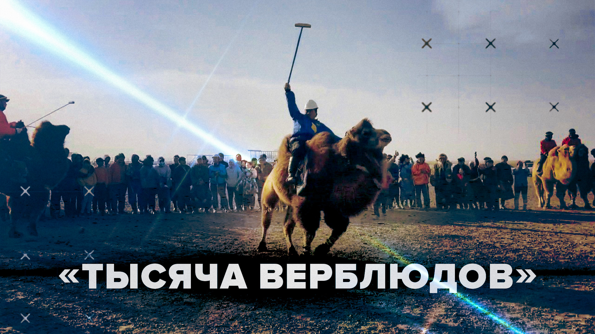Парад верблюдов и поло верхом в Монголии — видео