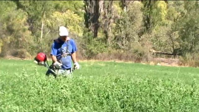 Desmalezadora смотреть онлайн