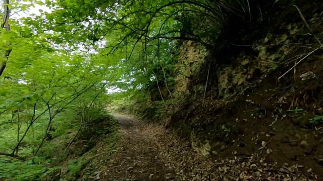 Дагестан. Поход из Маджалиса в Варсит. Мижигли, Джигия, Шиляги