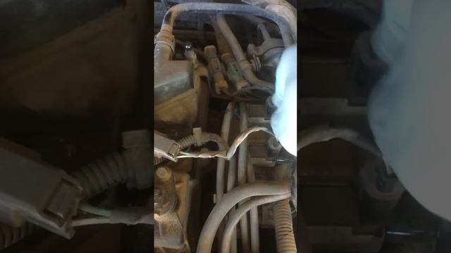 Как определить что стучат вихревые заслонки Форд фокус, мазда#стукдвигателя#причиныстука смотреть онлайн