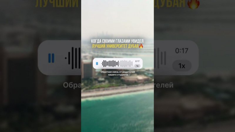 Когда своими глазами увидел лучший университет Дубая