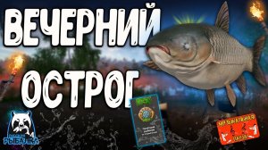 РР4/ рыбалка для души, ловим как универсал, общаемся 24.09.23