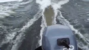 YAMAHA F 20
