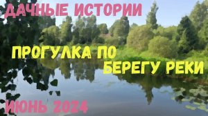 Дачные истории | Июнь 2024 | Прогулка по берегу реки