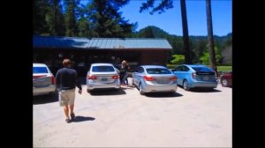 США.Как выглядит Калифорния? Проезжаем сквозь дерево на машине