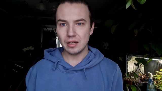 Семена ГАВРИШ на дачный сезон 2023 | Распаковка | томаты перцы бархатцы
