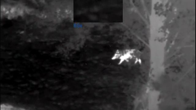 termico pulsar axion Xm30 a 70m смотреть онлайн