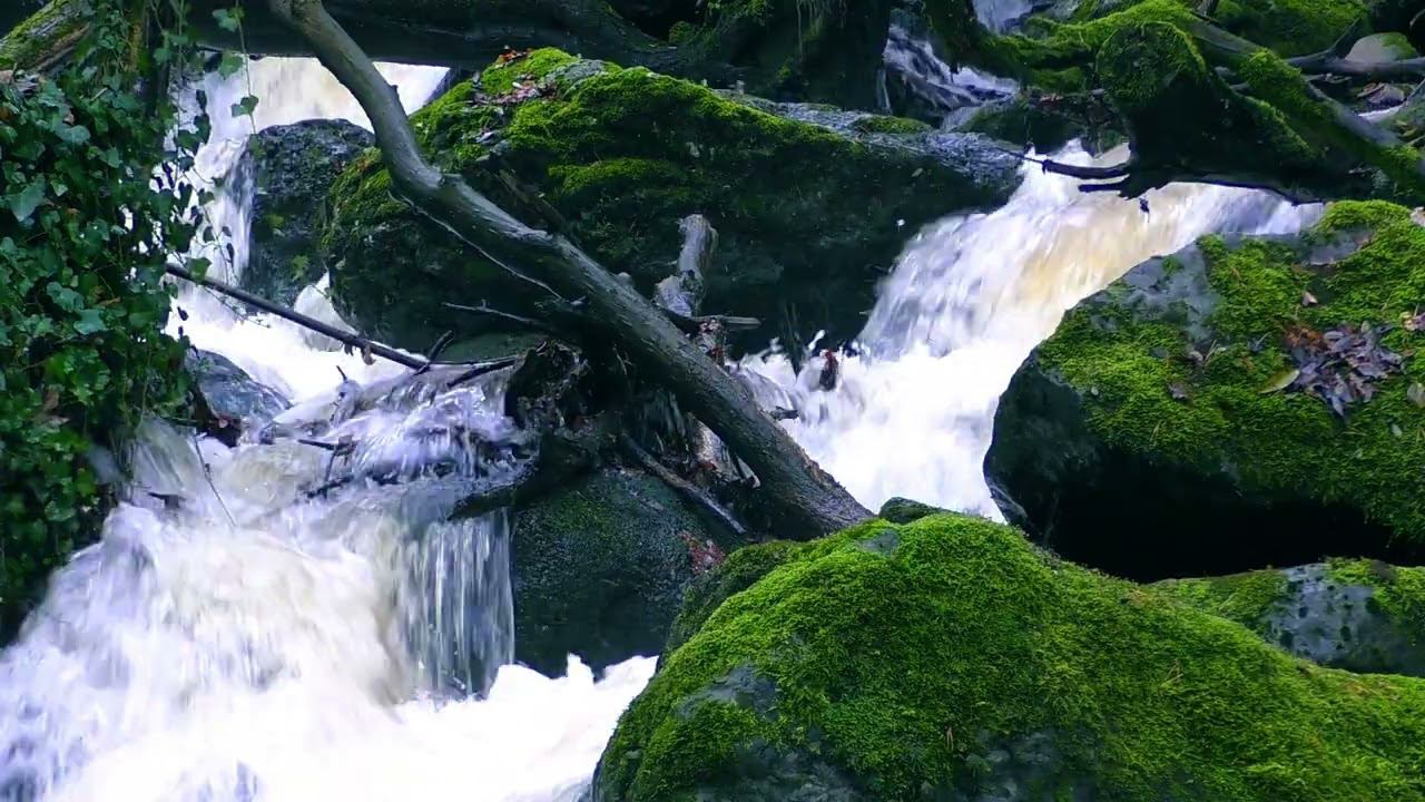 Шум горной реки, водопада - Бояна, Витоша, Болгария. mountain river, waterfall, relax, white noise.