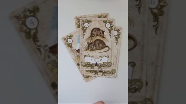 СЕГОДНЯ ВЕЧЕРОМ