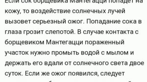 Ядовитые Растения Беларуси