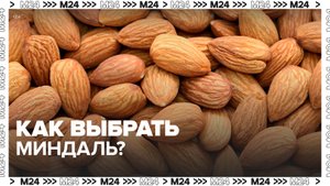 Эксперты рассказали, как выбрать миндаль - Москва 24