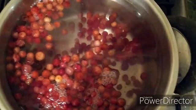 Брусничный морс для профилактики заболеваний моче-половой системы