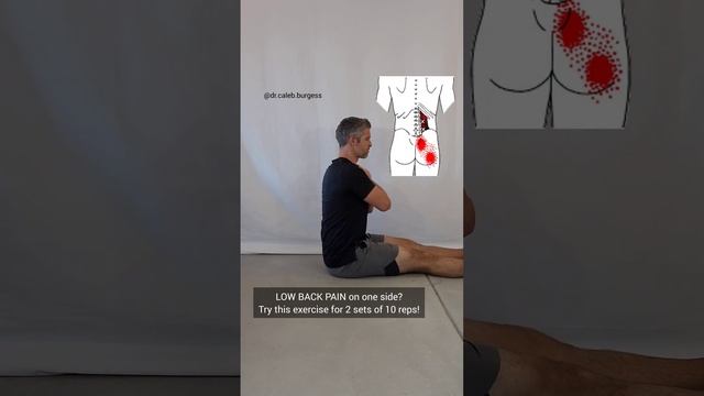 LOW BACK PAIN on one side? Try this!