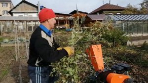 Измельчитель веток Бобёр. Измельчаю всё подряд