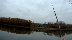 Фидерная рыбалка - ловля леща на реке в ноябре.