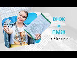 Долгосрочная виза, ВНЖ и ПМЖ в Чехии, что необходимо знать студентам