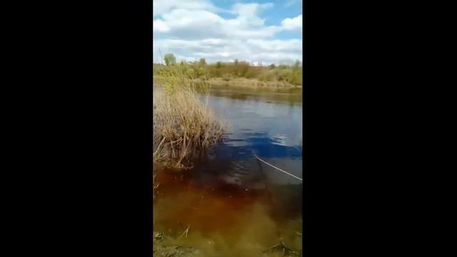 поисковый магнит  на Двине пуля от немецкого автомата