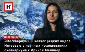 «МОСКВАРИУМ» — КОВЧЕГ РЕДКИХ ВИДОВ. ИНТЕРВЬЮ О НАУЧНЫХ ИССЛЕДОВАНИЯХ ОКЕАНАРИУМА С ИРИНОЙ МЕЙНЦЕР