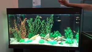 #Аквариумы #AquaPlus Серия LUX