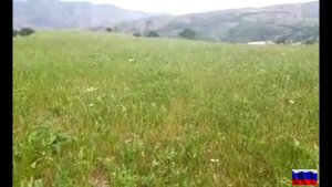 вечерняя сводка СВО на 2 июня # что происходит в этот час СВО на 2 июня #