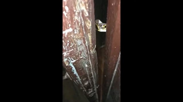 Открыть цепочку двери за 5 минут, резинка и лейкопластырь. Проверено. смотреть онлайн