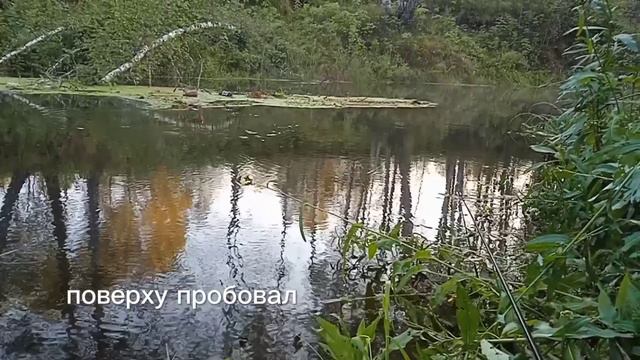 Вода в реке прибавилась. Взял одного окуня со дна. Рыбалка на таежной речке