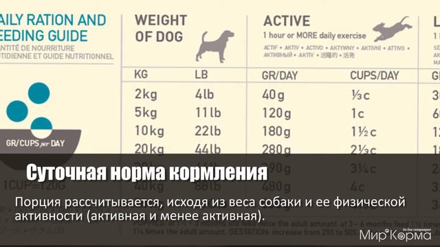 Обзор корма Acana Wild Coast смотреть онлайн