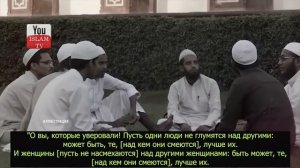 КАК ПРОРОК НА САМОМ ДЕЛЕ ОТНОСИЛСЯ К КОШКАМ И ЖИВОТНЫМ? Правда ли кошка священное животное в исламе