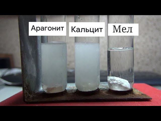 КАЛЬЦИТ, АРАГОНИТ И МЕЛ В СОЛЯНОЙ КИСЛОТЕ