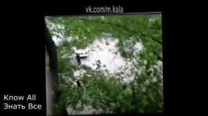 [Махачкала] Перестрелка в Махачкале, ресторан Гамбит.