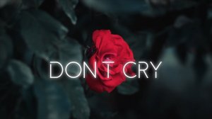 "Dont cry" - Dietmar Bonnen