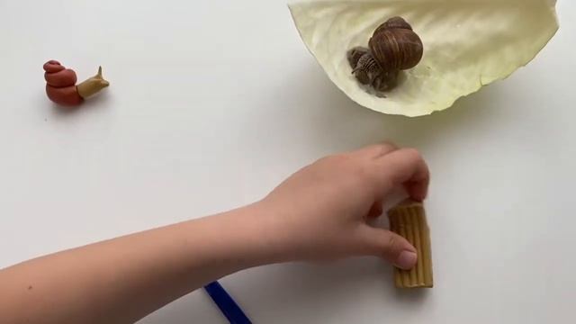 Улитка из пластилина и живая улитка смотреть онлайн