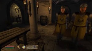 Oblivion, TES 4 - flying camera and the guards