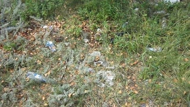 Тихая охота. Берегите природу