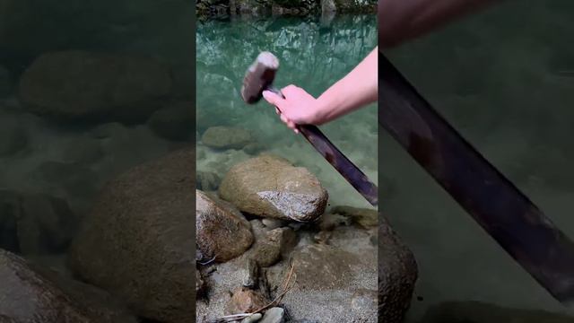 Catching Fish | Sea, River & Lake Creatures - #Short 99 смотреть онлайн