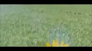 Бутусов и Ю-Питер - Аделаида 2012