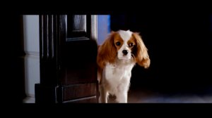 Ёлки Лохматые | Тизер-трейлер