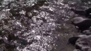 Киргизия, река Ак-Суу