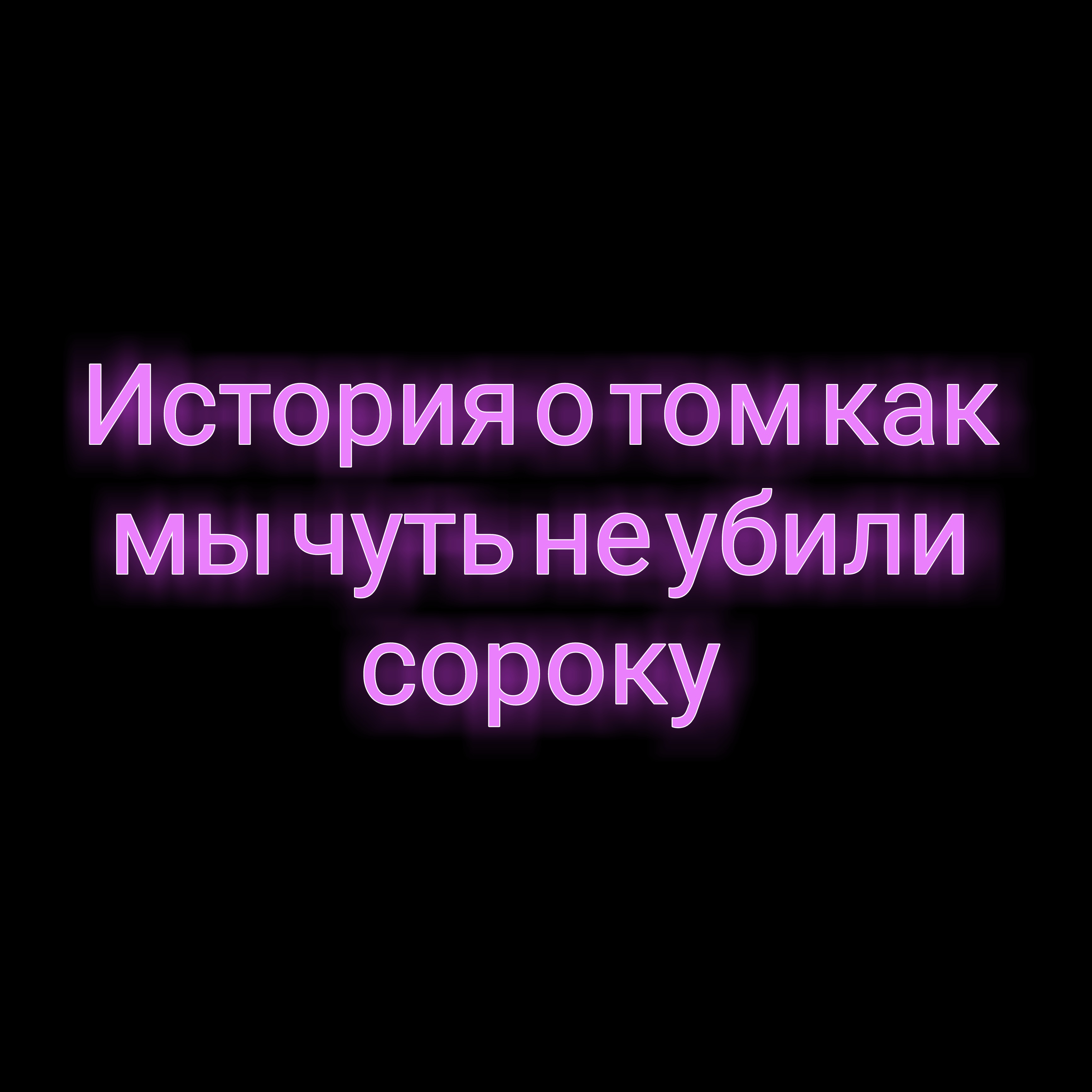 История о том как мы ЧУТЬ НЕ УБИЛИ СОРОКУ!? | Реальная история из жизни