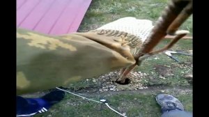 асбестоцементные трубы установка столбов