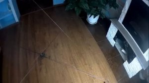 Хапуга хлопок, от очень хорошего мастера, Обзор новой хапужки для рыбалки сделанной специалистом