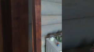 Дом на продажу у реки с. Дединово. Московская область